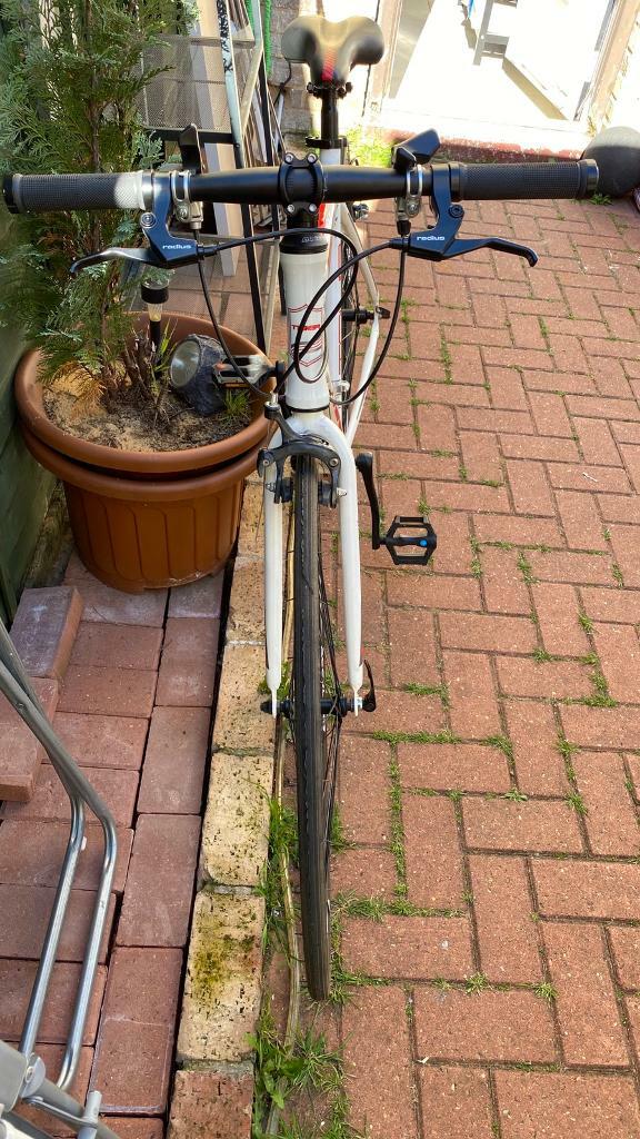 tiger hybrid bike